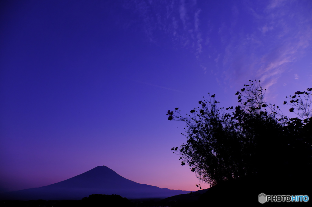 富嶽よ永遠に～怒涛の秋桜