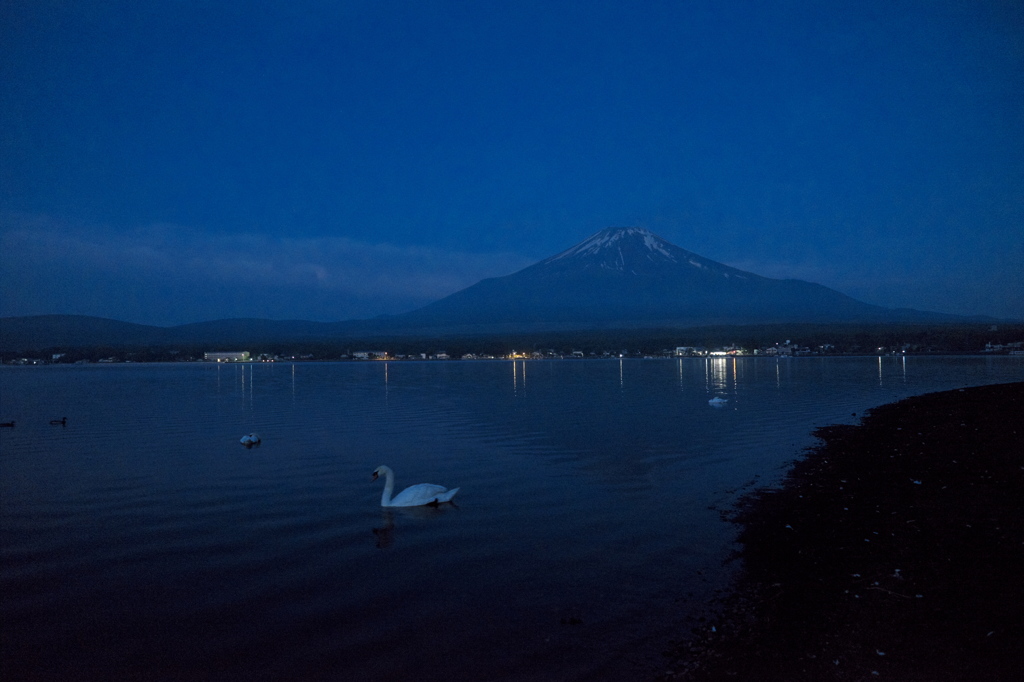 富嶽よ永遠に～未明の白鳥と