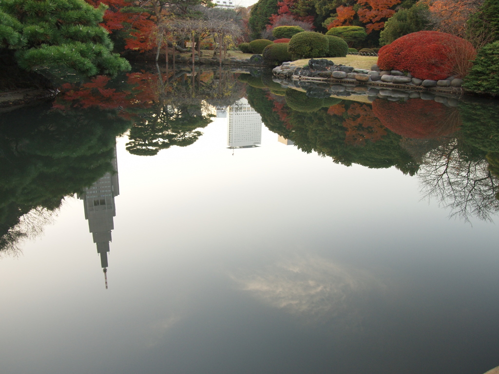 御苑の紅葉　池