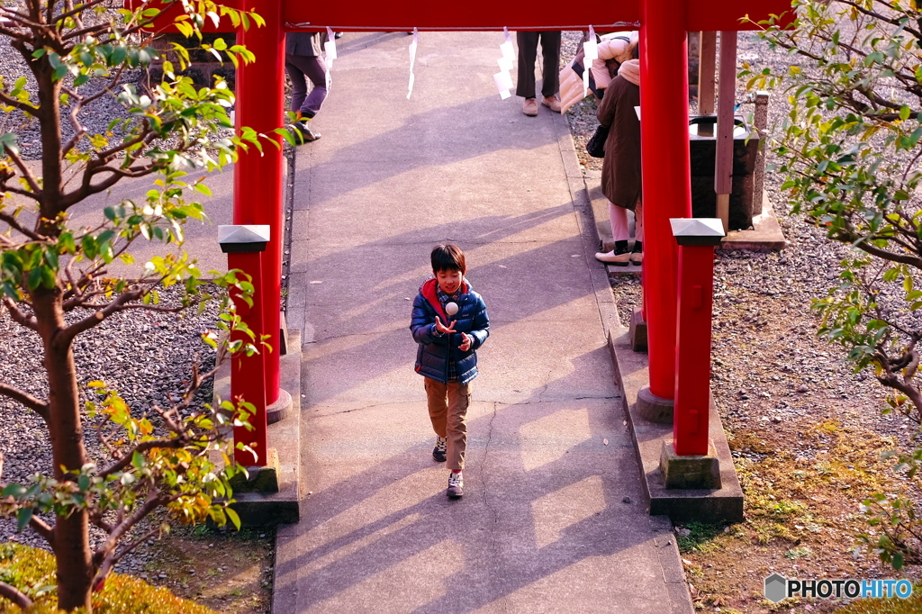 孫と初詣