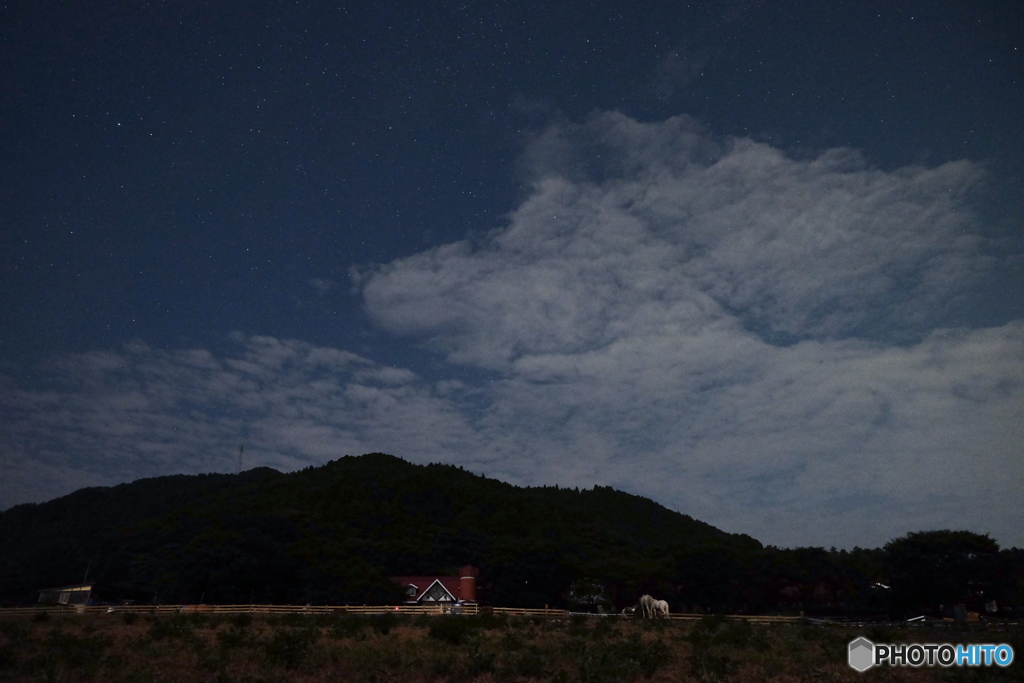 星空牧場