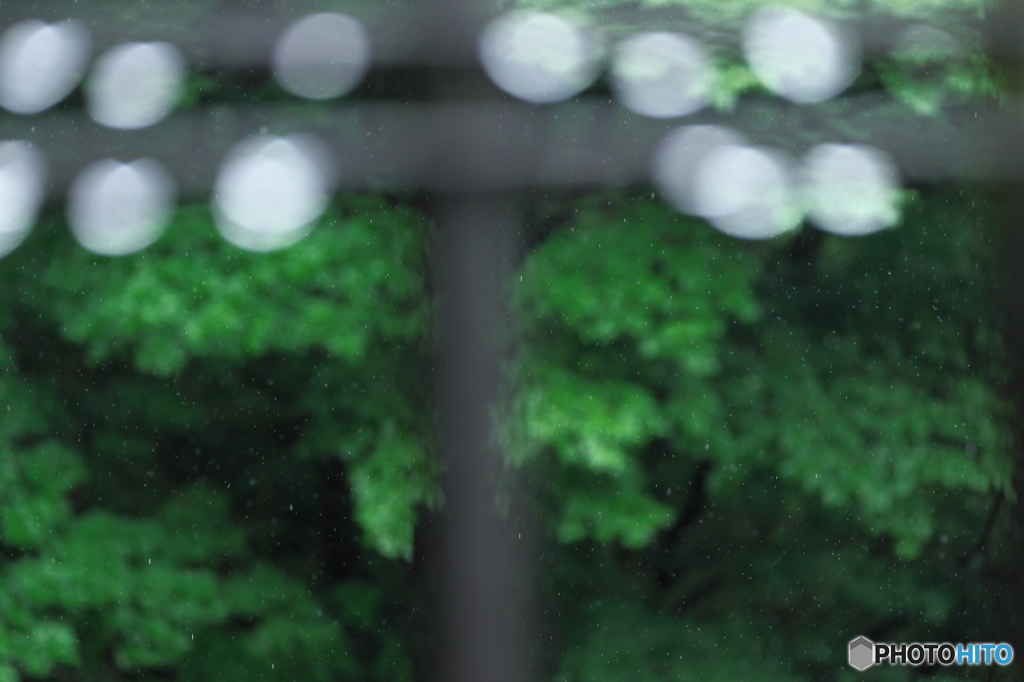 雨粒