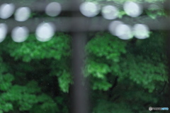 雨粒