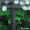 雨粒