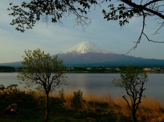 富嶽よ永遠に～初夏の河口湖畔