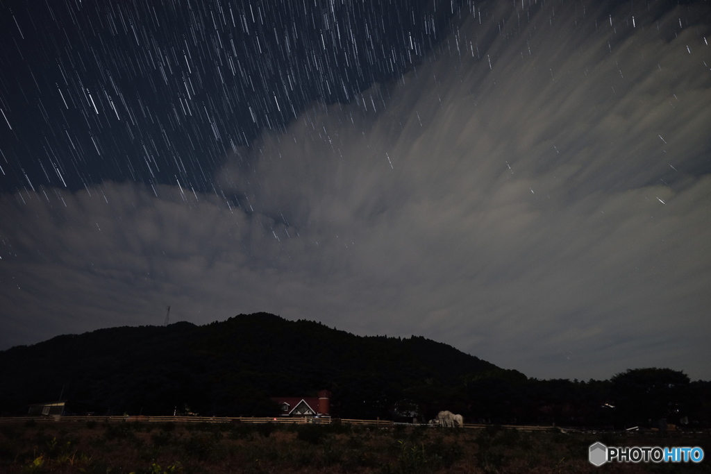 深夜に白馬の登場