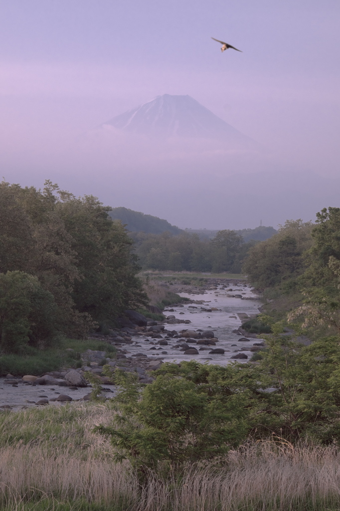 富嶽よ永遠に～雲に包まれて