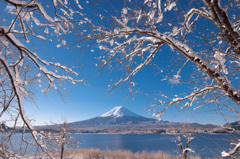 富嶽よ永遠に～輝く新雪