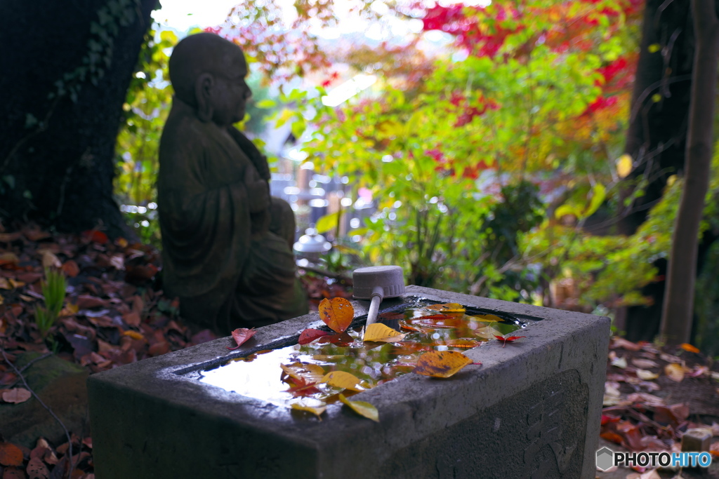 浄慶寺にようこそ