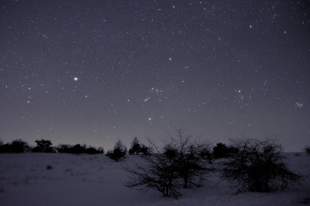 雪原を渡ってゆく星々