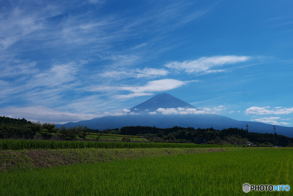 富嶽よ永遠に～緑の彼方に