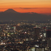スカイデッキからの富士夕景