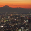 スカイデッキからの富士夕景