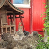 都会の小さな神社