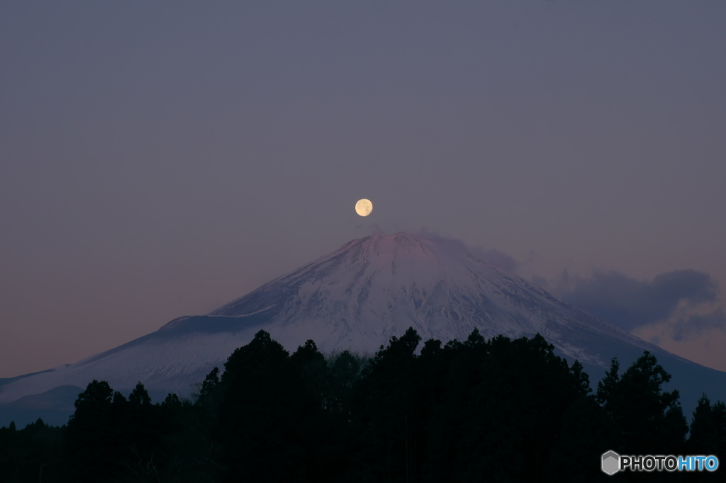 富嶽よ永遠に～薄紅パール