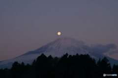 富嶽よ永遠に～薄紅パール