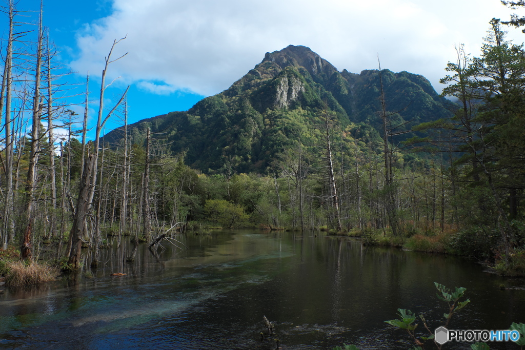 岳沢湿原から六百山