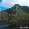 岳沢湿原から六百山