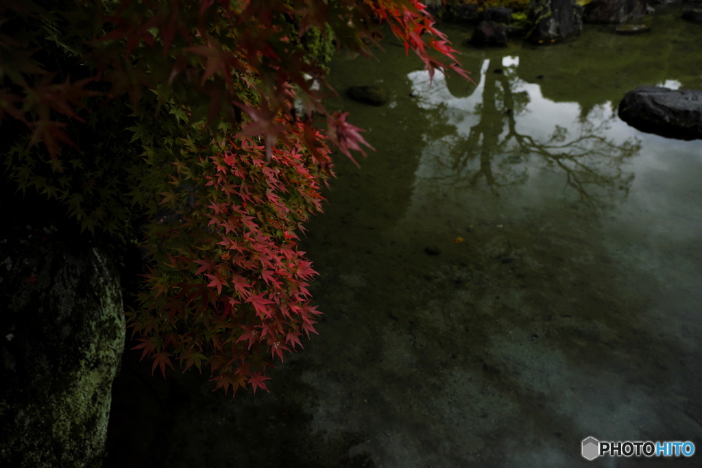 池端紅葉