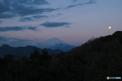 富嶽よ永遠に～ヴィーナスベルトに月