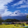 富嶽よ永遠に～菜の花畑でこんにちは