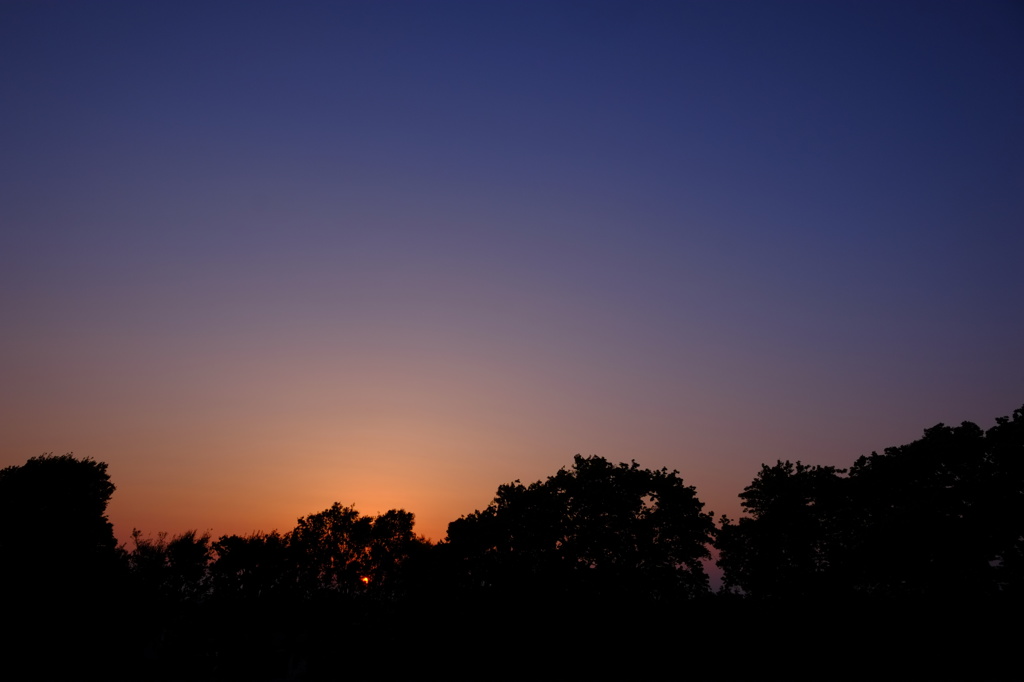 おしゃべりモンスターの夕べ