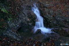 道志村の小川