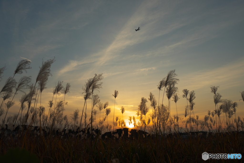 晩秋の空