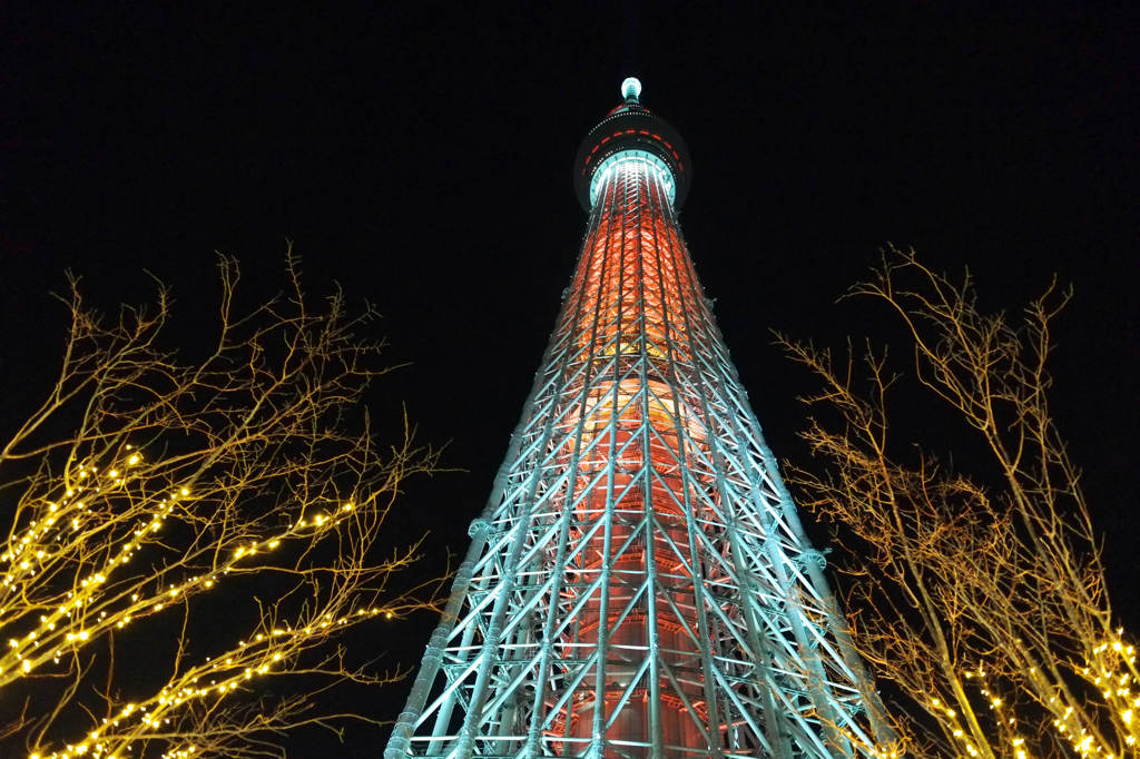 登るのはダメよ