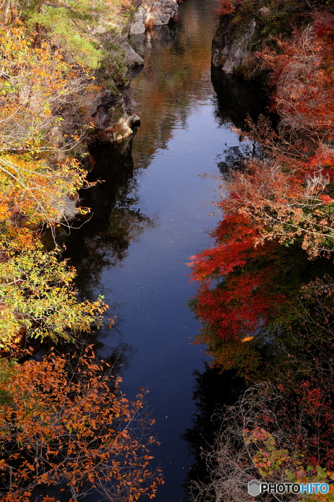 川面の錦