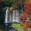 紅葉と白糸の滝