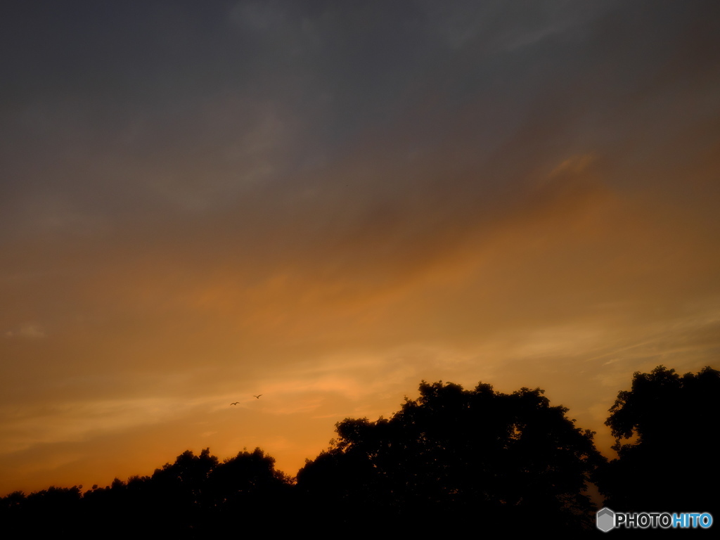 いつかの夕焼け