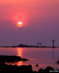 富嶽よ永遠に～夕陽に鳥たち