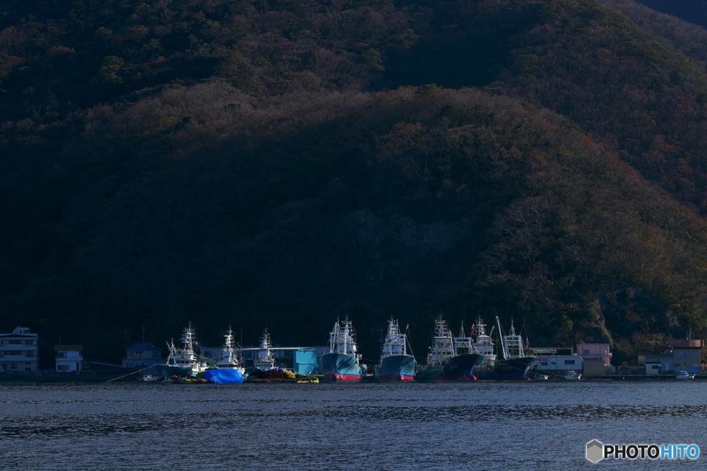 漁港朝景