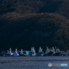 漁港朝景