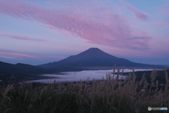 富嶽よ永遠に～雲海に紅雲