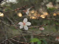 いい一日だった