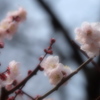 温もりの中で