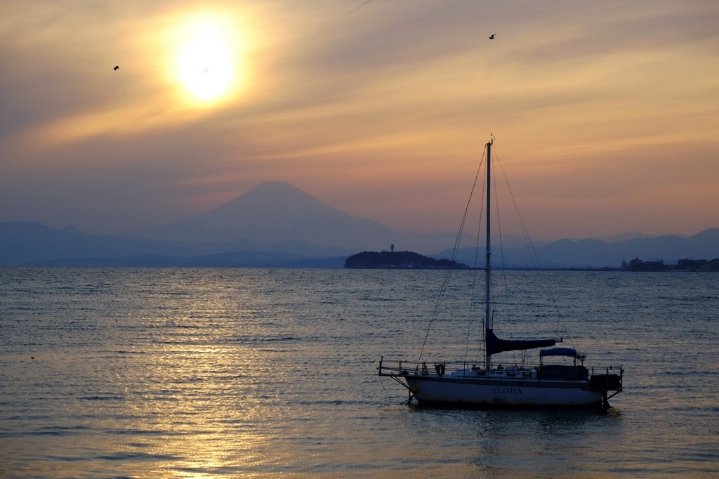 富嶽よ永遠に～相模湾夕景