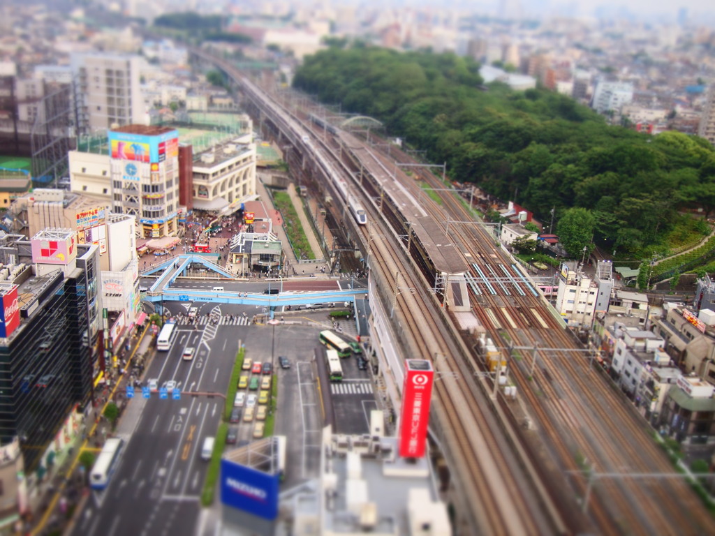 暗くなるまで待って