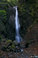 道志の雄滝