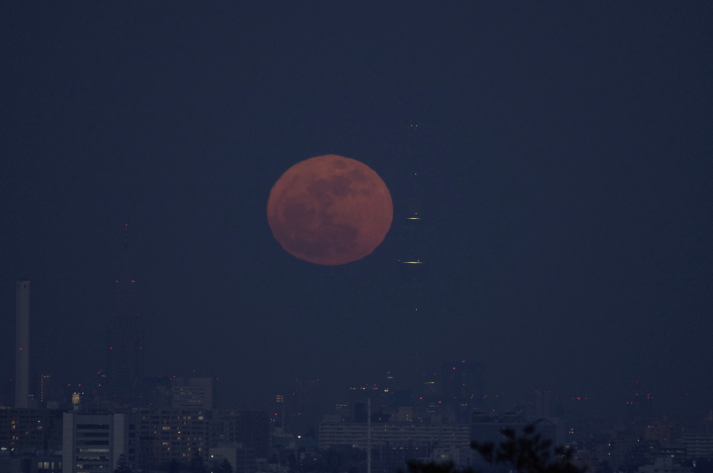 睦月の満月Ⅱ