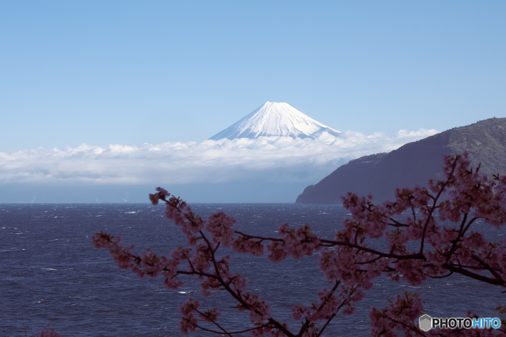 富嶽よ永遠に～西伊豆の道から