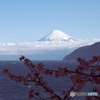 富嶽よ永遠に～西伊豆の道から