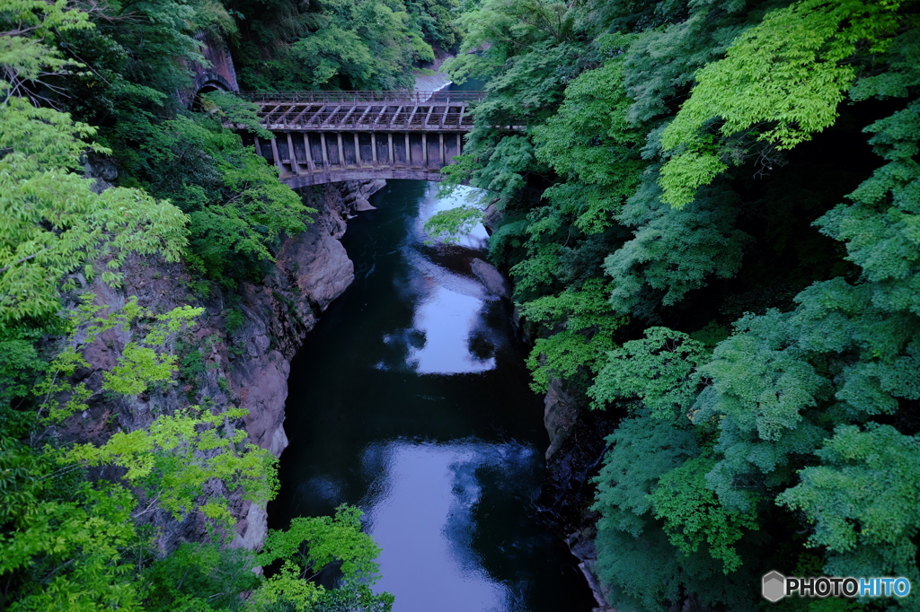 新緑の桂川