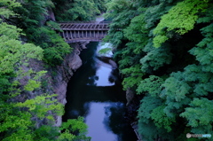 新緑の桂川