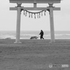 鳥居と海