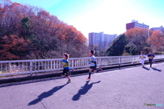 競い合い