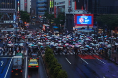 雨の渋谷スクランブル