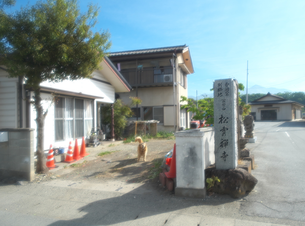 知人の郷里を訪ねて⑥